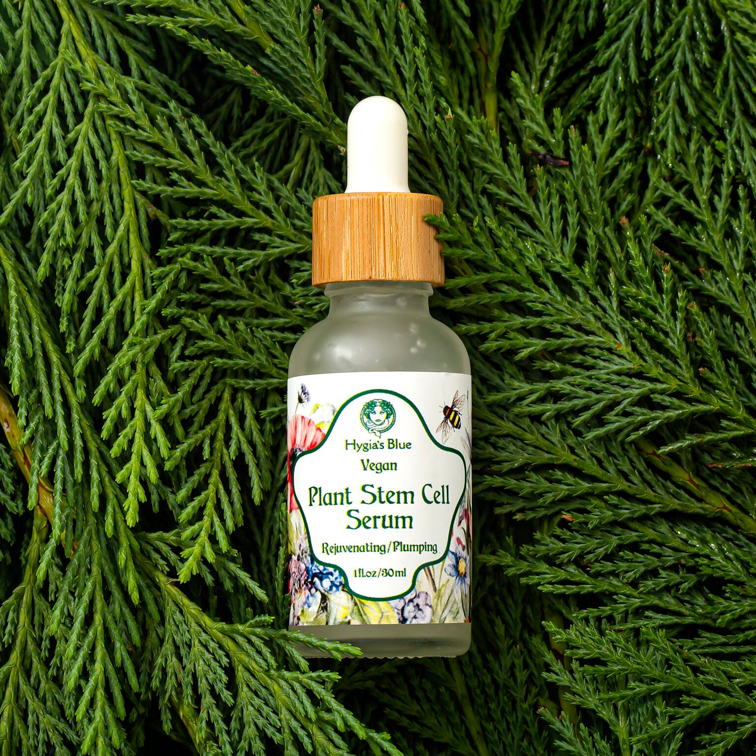 Plant Stem Cell Serum